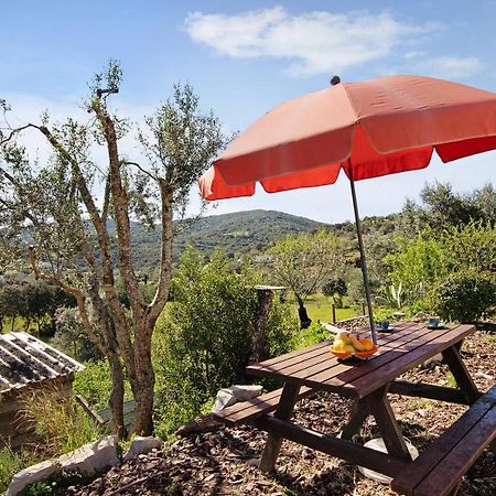 Casa Tibagota ξενώνας São Brás de Alportel Εξωτερικό φωτογραφία