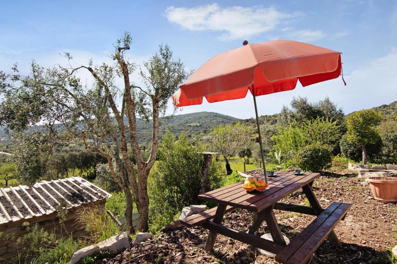 Casa Tibagota ξενώνας São Brás de Alportel Εξωτερικό φωτογραφία